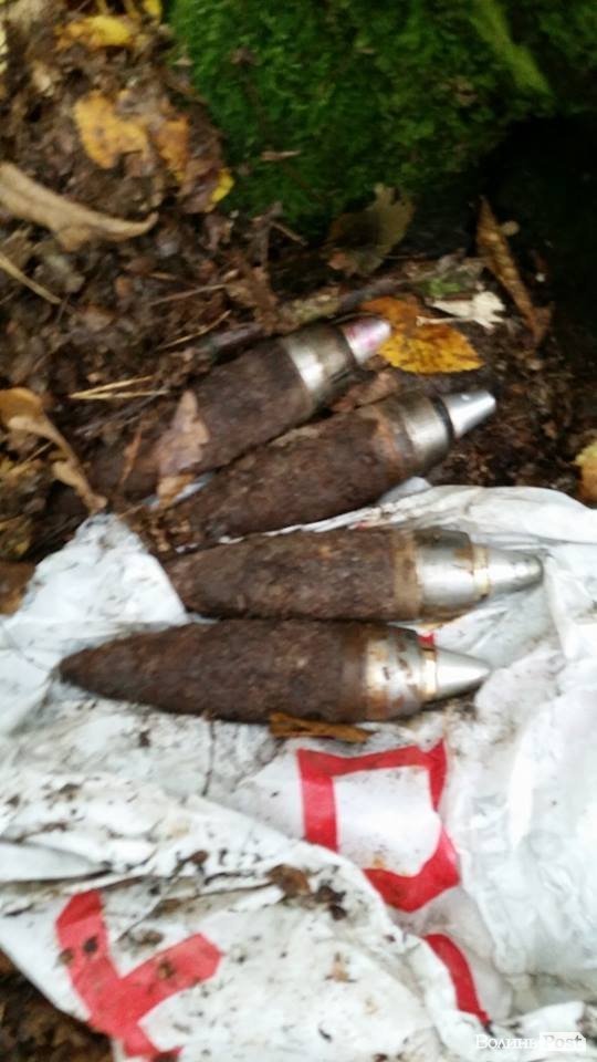 Шукали гриби – знайшли боєприпаси. ФОТО арсеналу у лісі