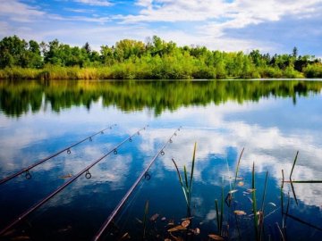Скільки коштуватиме рибалка на озерах Шацького нацпарку