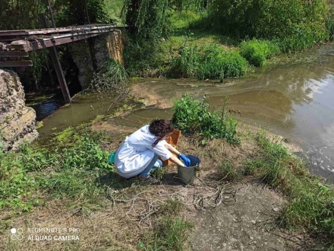 Фахівці назвали причину загибелі риби на Кічкарівських ставках