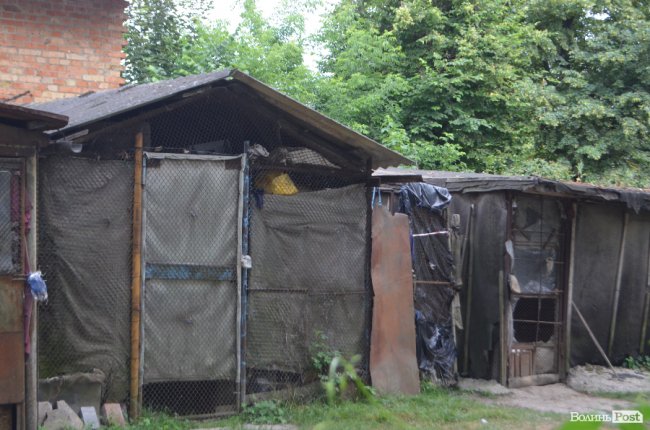 Тушки ворон і курячий послід: лучанин нарікає на безлад поблизу гуртожитків. ФОТО