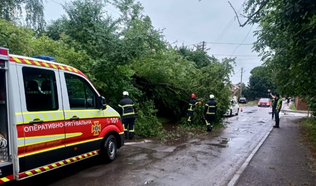 Гроза на Волині наробила шкоди: рятувальники показали наслідки