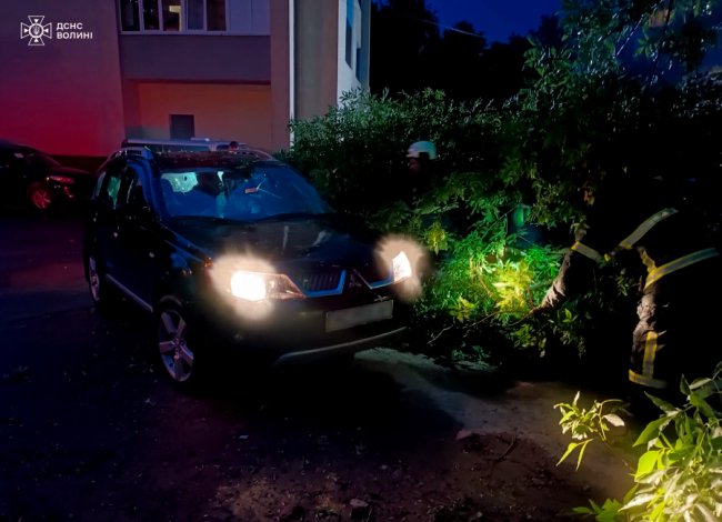 Гроза на Волині наробила шкоди: рятувальники показали наслідки