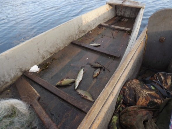 На Волині браконьєр намагався втекти від рибоохоронного патруля. ФОТО