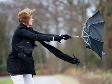 Синоптики попередили волинян про сильний вітер