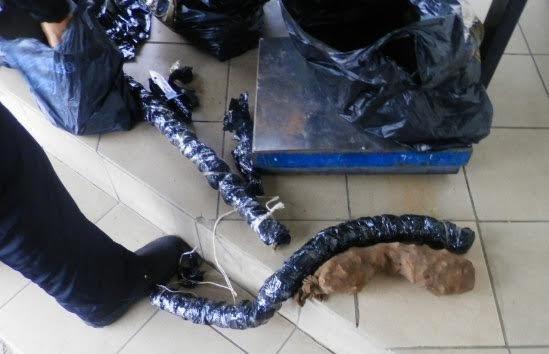 На Волині прикордонники затримали велику партію бурштину. ФОТО