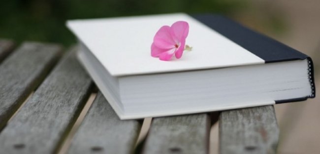 Розповіли, які книги найбільше читають лучани