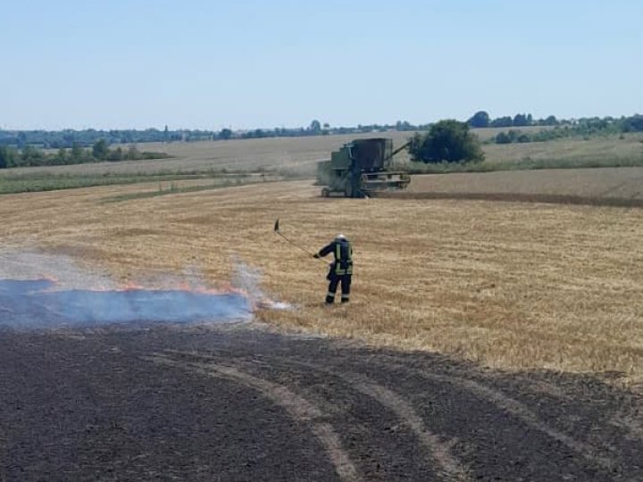 На Волині горіло пшеничне поле. ФОТО