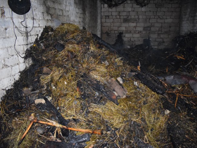 На Рівненщині у пожежі загинуло двоє маленьких дітей. ФОТО