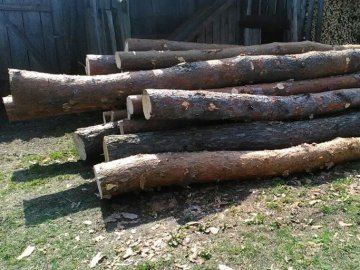 Крадену деревину із Любешівського району знайшли на приватній пилорамі