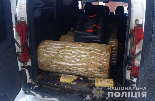 На Волині у чоловіка в авто знайшли деревину без документів. ФОТО