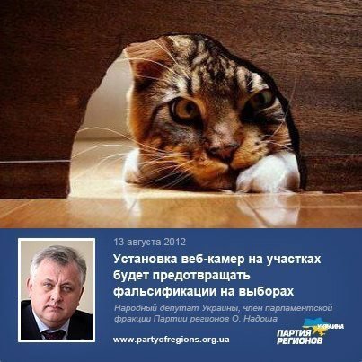 Бабуся і кіт: фотожабоманія триває. ФОТО