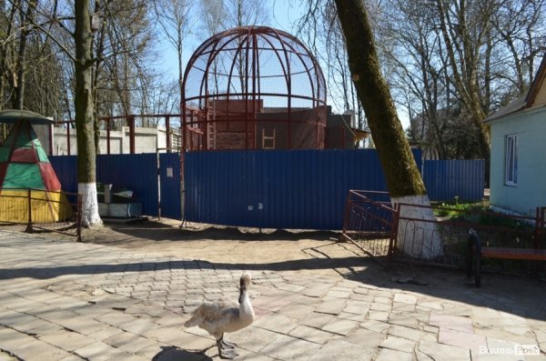 У Луцьку поляки проінспектували хід реконструкції міського зоопарку. ФОТО