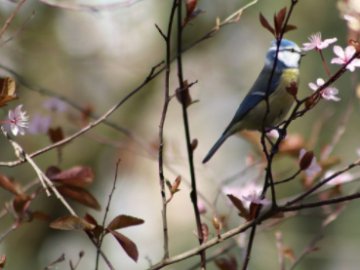 Погода в Луцьку та Волинській області на неділю, 11 квітня