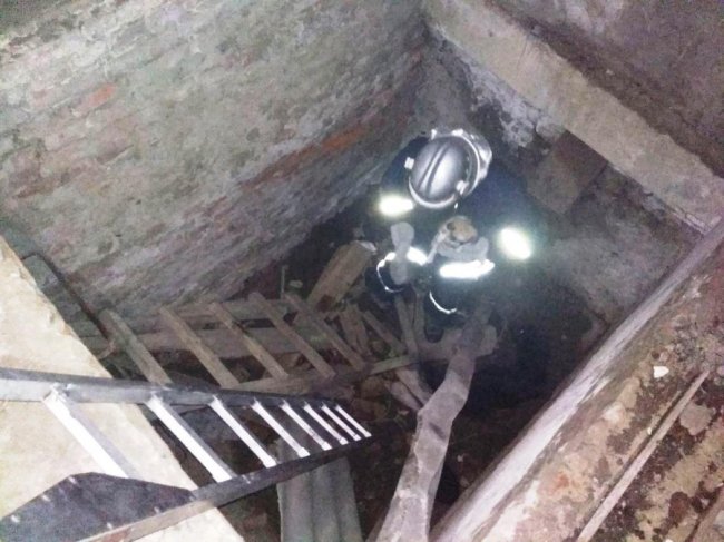 На Волині рятувальники витягли з глибокої ями п'ятеро собак