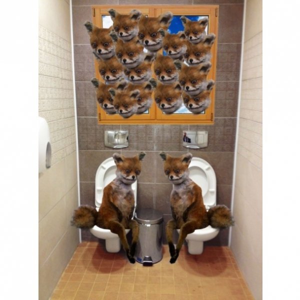 Інтернет сміється з олімпійських туалетів у Сочі