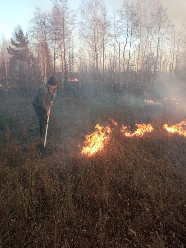 Полум'я здіймалося на 10-12 метрів: у нацпарку на Волині сталася пожежа. ФОТО
