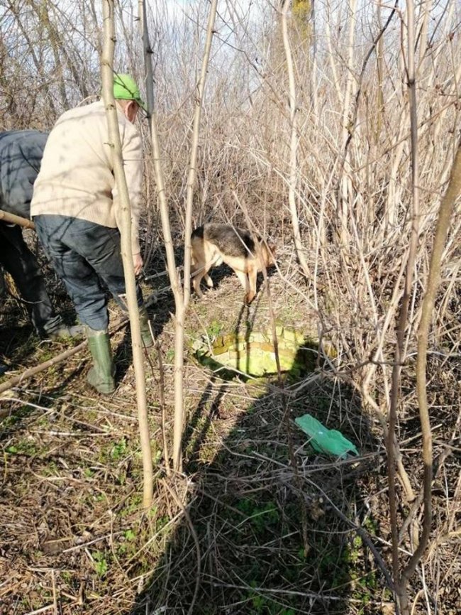 У селі під Луцьком врятували пса, який провалився у закинутий колодязь. ФОТО