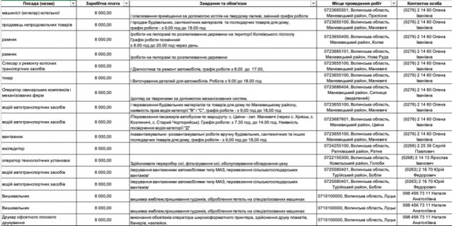 Де, скільки та за що на Волині готові платити від 8-ми до 30-ти тисяч гривень в місяць: ТОП вакансій 