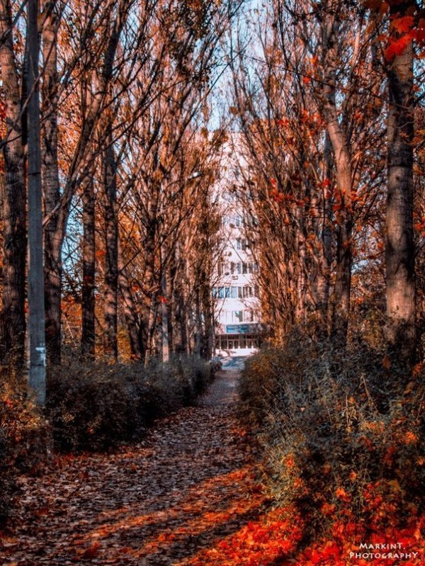 Луцькі парки восени. ФОТО