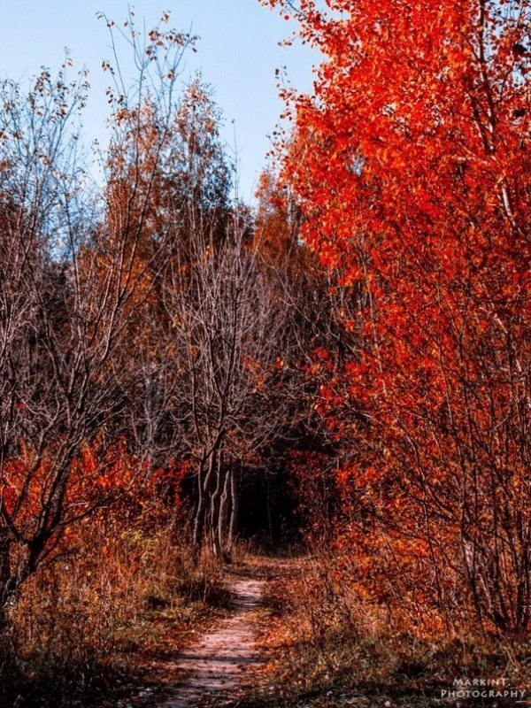Луцькі парки восени. ФОТО