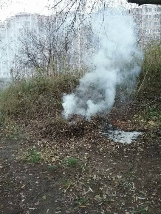 Муніципали нагадують лучанам про «правильне» прибирання