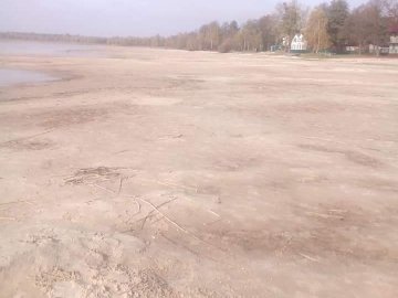 На деяких ділянках берега озера Світязь вода відійшла на 90 метрів. ФОТО