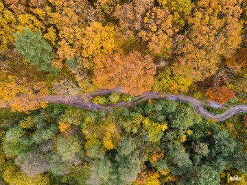 Захопливі осінні краєвиди Західного Бугу у волинській громаді з висоти пташиного польоту. ФОТО. ВІДЕО