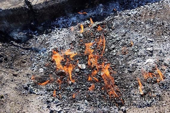 У Ковелі поліція знищила вилучені в злочинців наркотики. ФОТО