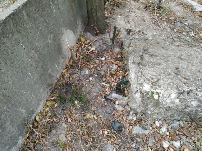 20 мішків сміття: учні луцької школи прибрали біля річки Стир. ФОТО