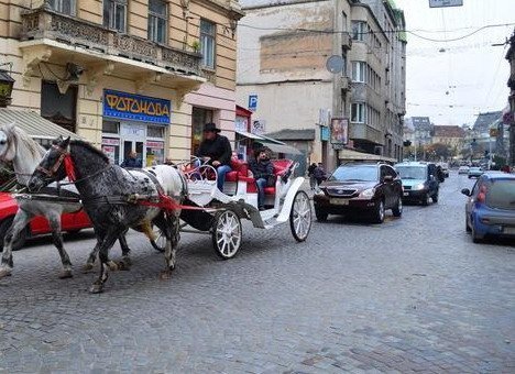 Аварія у Львові: підвода протаранила депутатський Lexus. ФОТО