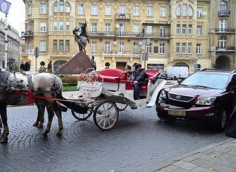 Аварія у Львові: підвода протаранила депутатський Lexus. ФОТО