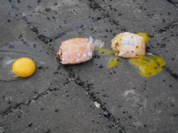 «Треті роковини Януковича» у Луцьку. ФОТО