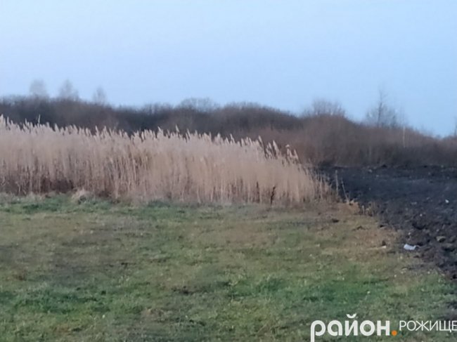 Біля волинського озера – стихійне сміттєзвалище. ФОТО