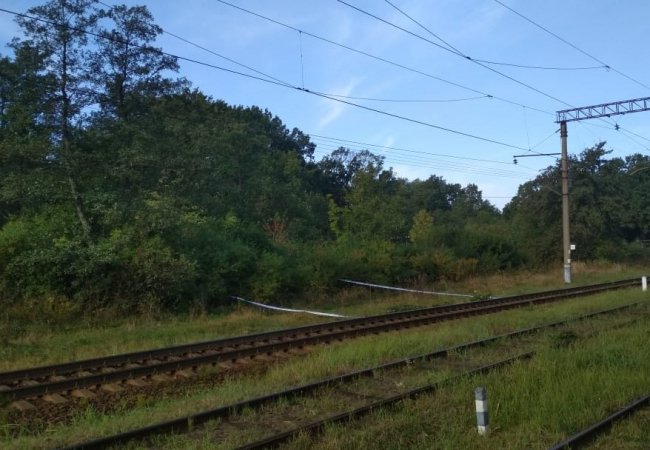 На Львівщині чоловік стріляв у матір своєї колишньої дівчини. ФОТО