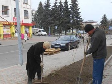 У місті на Волині безробітні прибирають вулиці