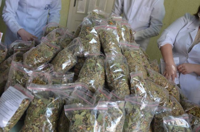 Луцькі медики заготували для воїнів трав’яні чаї та цілющі мазі