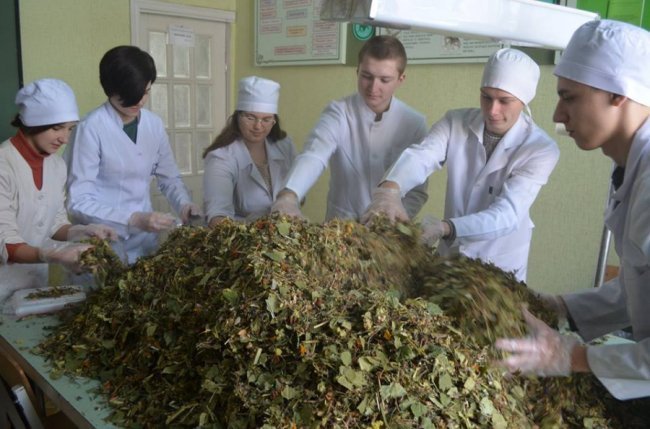 Луцькі медики заготували для воїнів трав’яні чаї та цілющі мазі