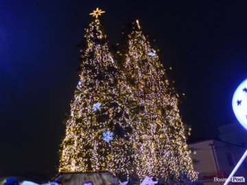 Головна новорічна ялинка Луцька бореться за звання найкрасивішої в Україні
