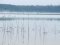 Загроза обміління Шацьких озер справді існує, – Міністерство