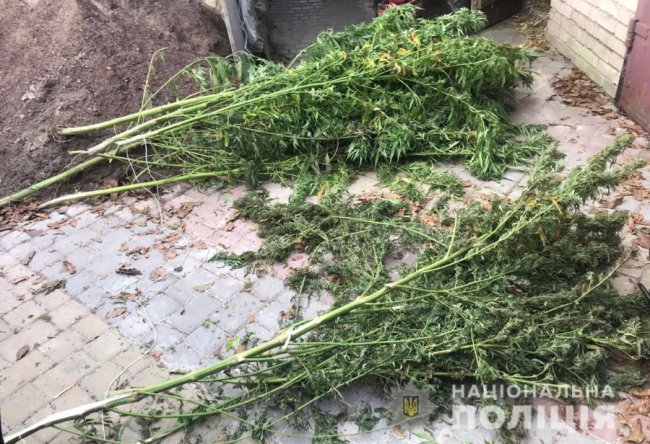 Під час обшуку у жителя Ківерцівського району знайшли пів кілограма наркотиків