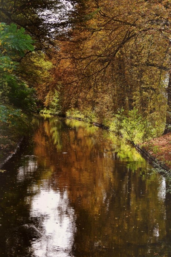Фотовиставка Ані Мурзіної