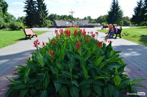 Місто, яке я люблю. Квіти Луцька