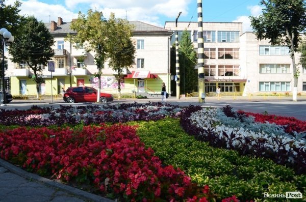 Місто, яке я люблю. Квіти Луцька