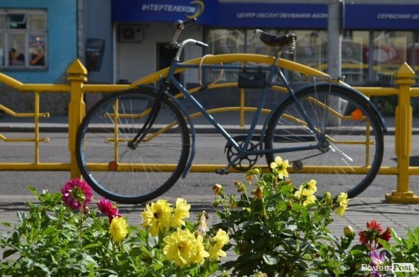 Місто, яке я люблю. Квіти Луцька