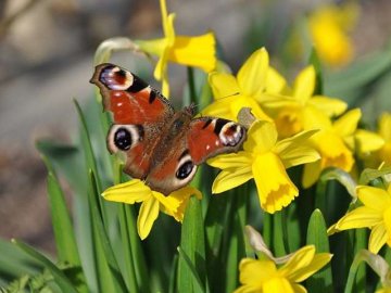 Народний синоптик розповів, якою буде погода в Україні у квітні–травні