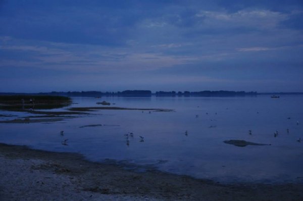 До чого може призвести засуха в області. ФОТО