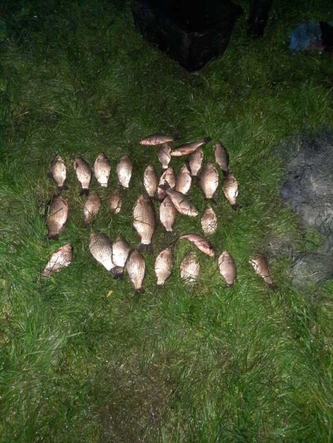 На Волині «на гарячому» спіймали браконьєрів, які з човна ловили рибу сітками. ФОТО