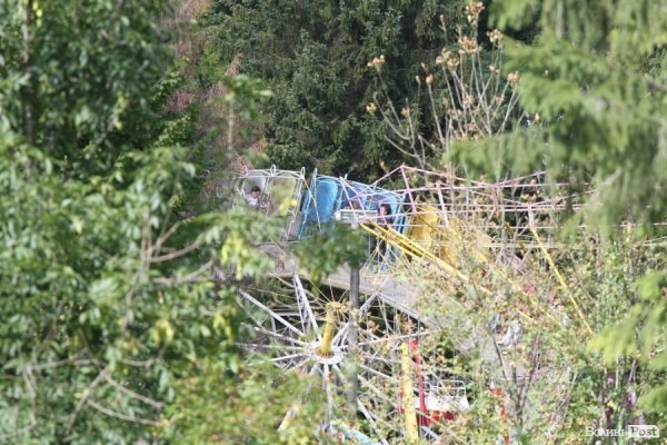 День міста: лучани  на природі. ФОТО