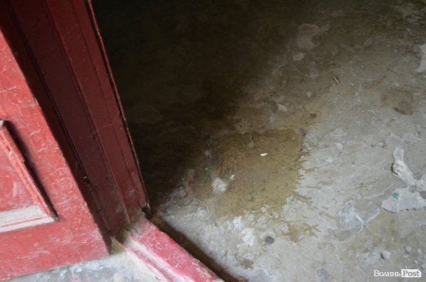 У Луцьку мертва бабуся пролежала тиждень у квартирі: сусіди бояться трупної отрути. ФОТО