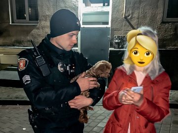 Зворушливий збіг обставин: у Луцьку господарям повернули зниклого песика